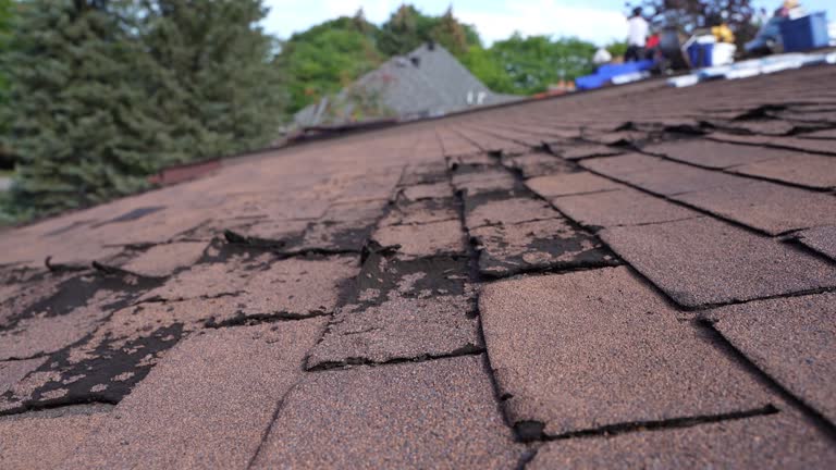 Best Roofing for New Construction  in Pantops, VA