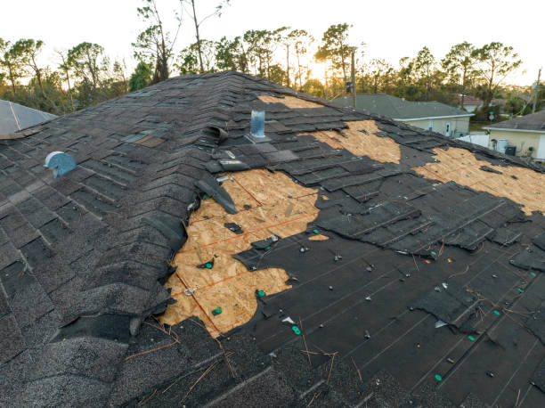 Professional Roofing Service in Pantops, VA